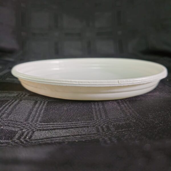 CATER PLASTIC PLATES SIDE