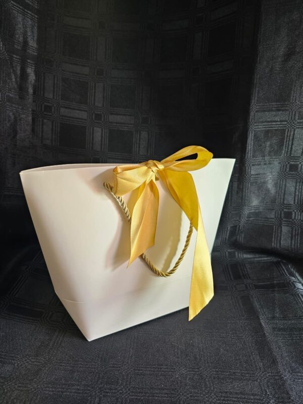 GIFT BAG 23 X 18 X 10