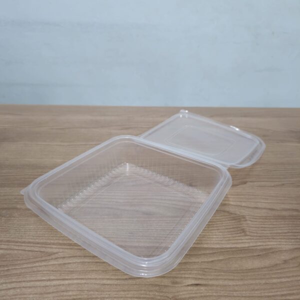 ZIBO MEAL TRAY CLEAR O DIV